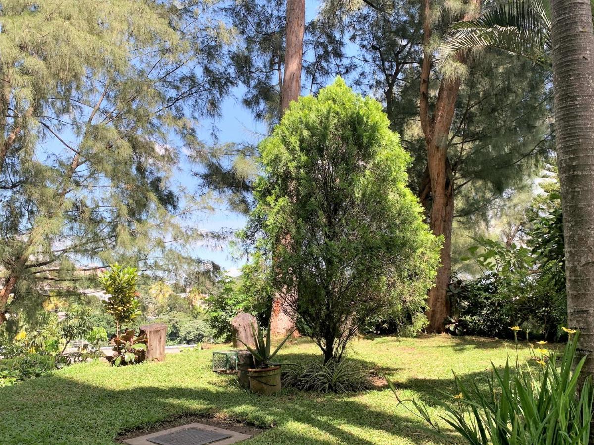 Luxury Modrn Apartment, W/Amazing View, 3Br,Escalon,Exclus,Secur San Salvador Esterno foto